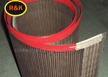 überzogene 4*4mm trockene Nahrung Ptfe Mesh Belt