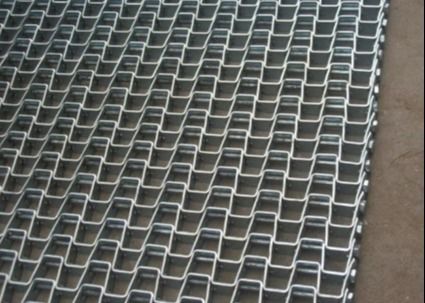 GemüseFlachdraht Mesh Belt des reinigungsedelstahl-30m