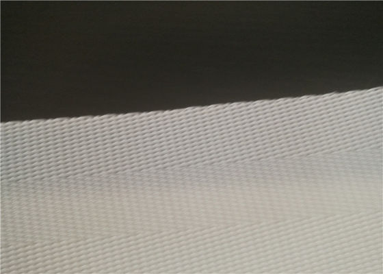 Verschlammen Sie Entwässerungspolyester-Filter-Gurt-weißes blaues Schwarzes für Papierherstellungs-Presse
