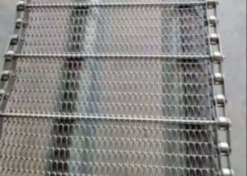 Stahl-Mesh Conveyor Belt Braided Conveyor-Trockner des rostfreien Einzelfaden-201